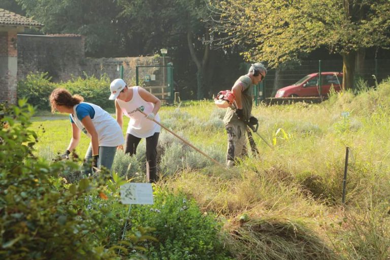 volontariato aziendale a chiaravalle