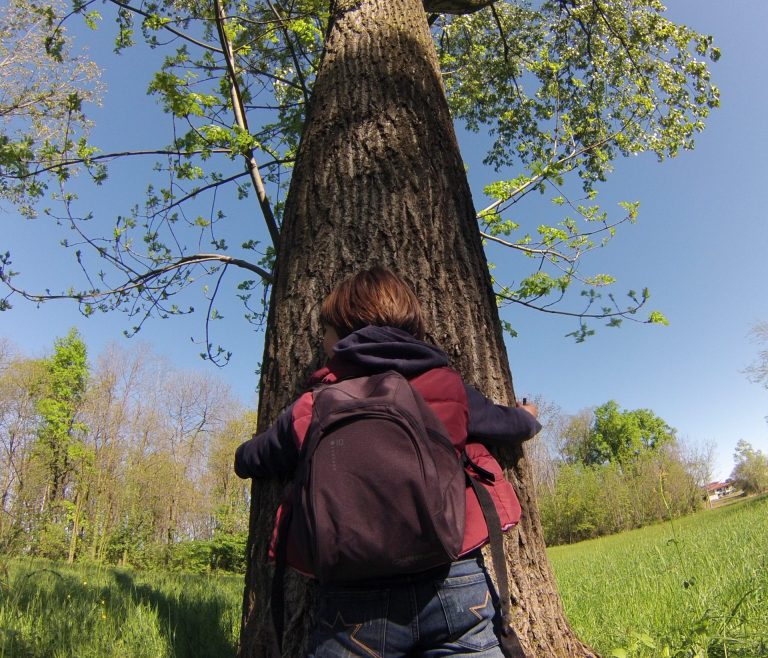 bambino che abbraccia albero