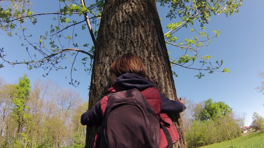 bambino che abbraccia albero