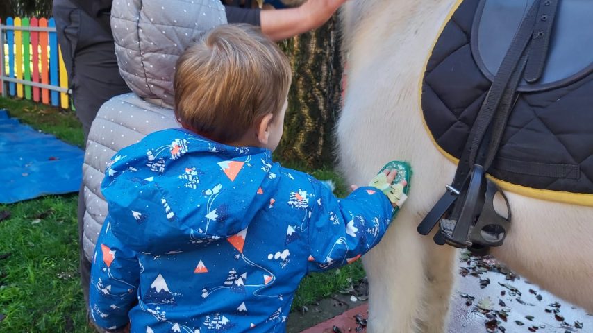 curiamo i pony a vedano