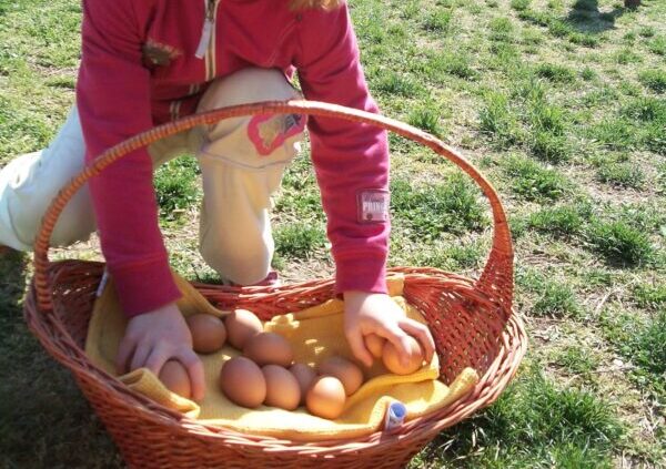 Colori naturali, inchiostri e miniature - laboratori all'Abbazia di  Chiaravalle - Koinè Cooperativa Sociale