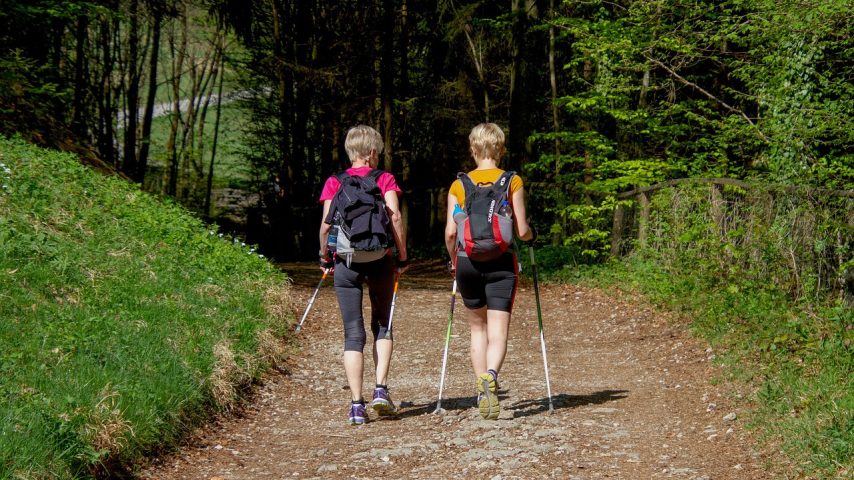 nordic walking