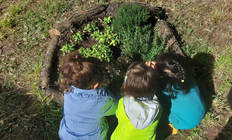 scuola forestami materna ontani