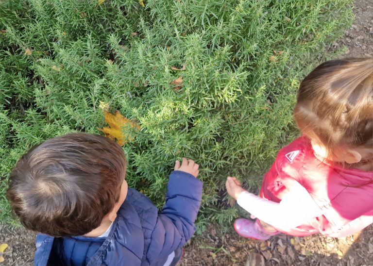 profumi natura a calusco